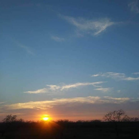 Meet your Posher, Rachel - Picture 1 of 1